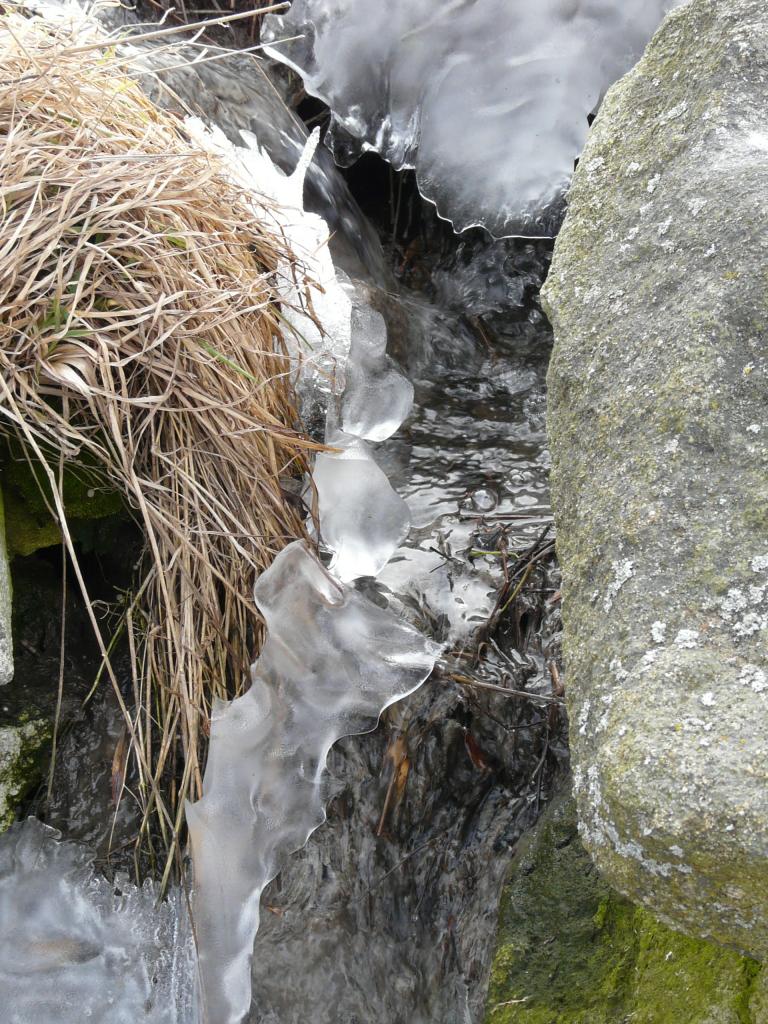 Burdignes, 08-03-09, 11-48.jpg